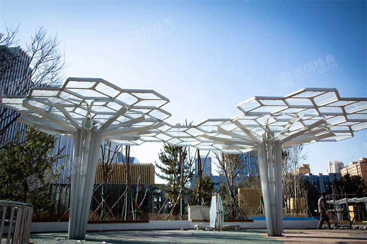 1640748159190110.jpg FCCS6997.jpg