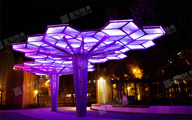 1640748209157005.jpg FCCS7043.jpg